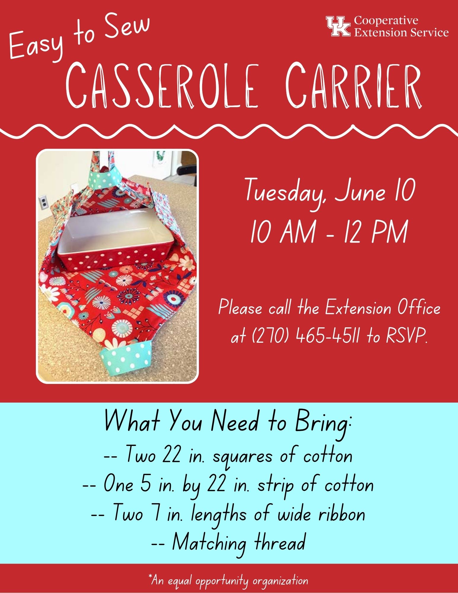Casserole Carrier Flyer