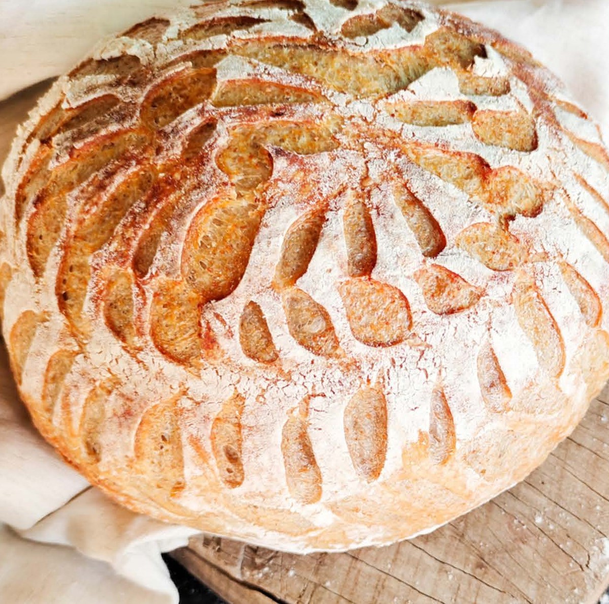 Sourdough Bread