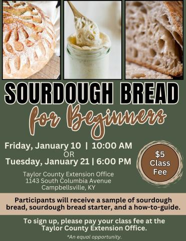 January 2025 Sourdough for Beginners